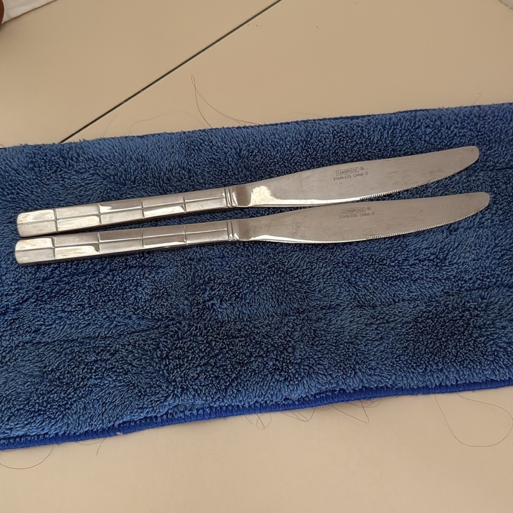 Landscape by Cambridge Stainless Table Knives Set of Two Discontinued Piece